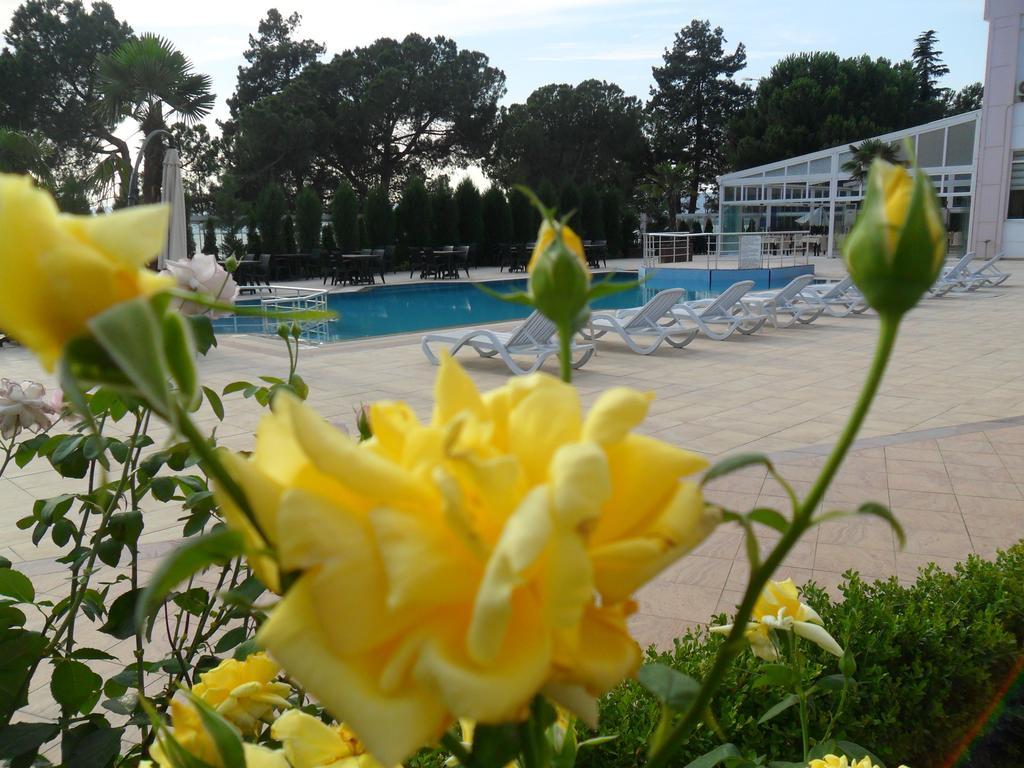 Grand Nicea Hotel İznik Habitación foto